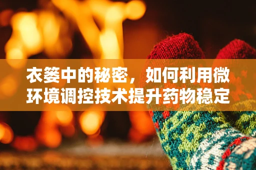 衣篓中的秘密，如何利用微环境调控技术提升药物稳定性？