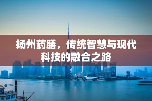 扬州药膳，传统智慧与现代科技的融合之路