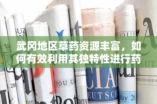 武冈地区草药资源丰富，如何有效利用其独特性进行药剂研发？