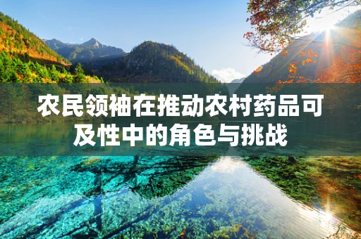 农民领袖在推动农村药品可及性中的角色与挑战