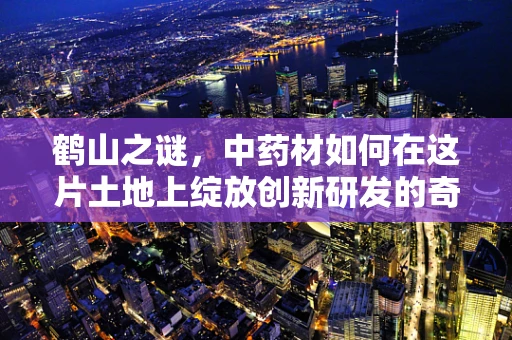 鹤山之谜，中药材如何在这片土地上绽放创新研发的奇迹？
