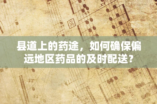 县道上的药途，如何确保偏远地区药品的及时配送？