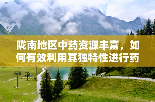 陇南地区中药资源丰富，如何有效利用其独特性进行药物研发？