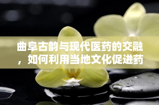 曲阜古韵与现代医药的交融，如何利用当地文化促进药剂研发创新？