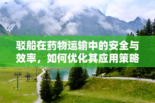 驳船在药物运输中的安全与效率，如何优化其应用策略？