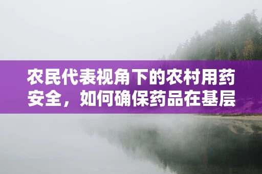 农民代表视角下的农村用药安全，如何确保药品在基层的合理使用与安全监管？