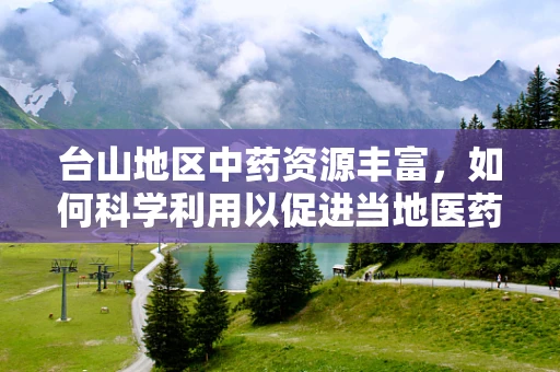 台山地区中药资源丰富，如何科学利用以促进当地医药产业发展？
