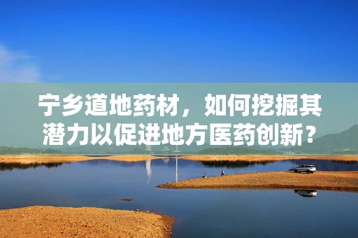 宁乡道地药材，如何挖掘其潜力以促进地方医药创新？