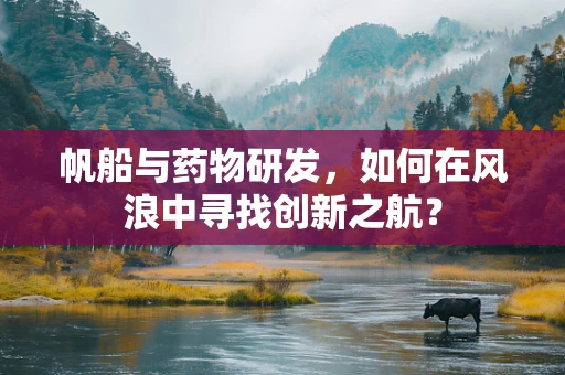 帆船与药物研发，如何在风浪中寻找创新之航？
