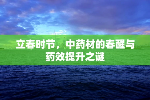 立春时节，中药材的春醒与药效提升之谜