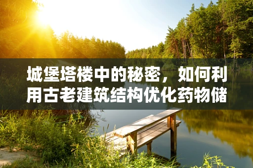 城堡塔楼中的秘密，如何利用古老建筑结构优化药物储存？