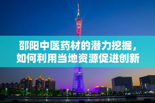 邵阳中医药材的潜力挖掘，如何利用当地资源促进创新药物研发？