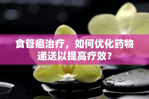食管癌治疗，如何优化药物递送以提高疗效？