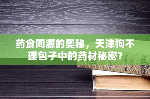 药食同源的奥秘，天津狗不理包子中的药材秘密？