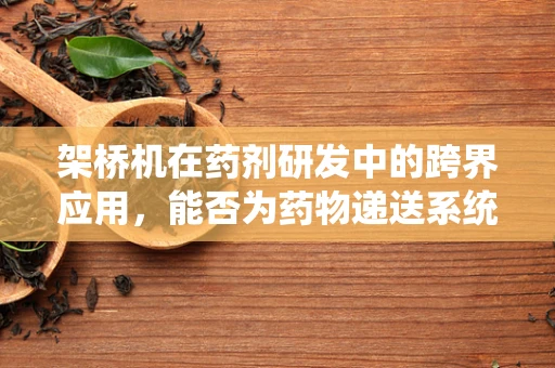 架桥机在药剂研发中的跨界应用，能否为药物递送系统带来新突破？