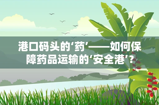 港口码头的‘药’——如何保障药品运输的‘安全港’？