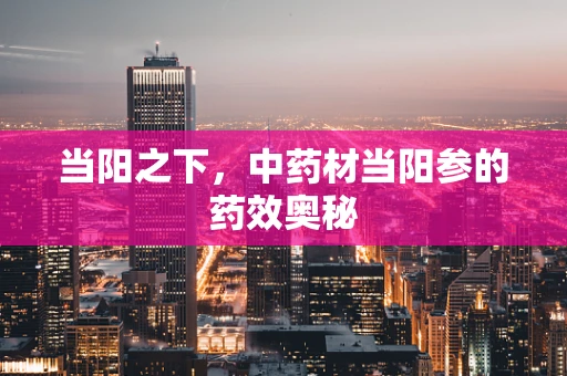 当阳之下，中药材当阳参的药效奥秘