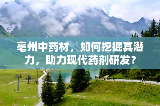 亳州中药材，如何挖掘其潜力，助力现代药剂研发？