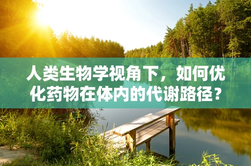 人类生物学视角下，如何优化药物在体内的代谢路径？