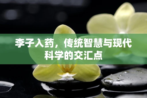 李子入药，传统智慧与现代科学的交汇点