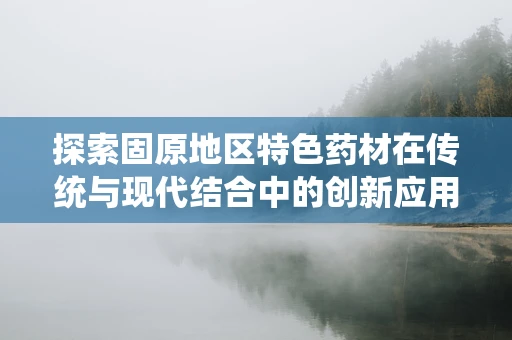 探索固原地区特色药材在传统与现代结合中的创新应用，如何最大化发挥其药效潜力？