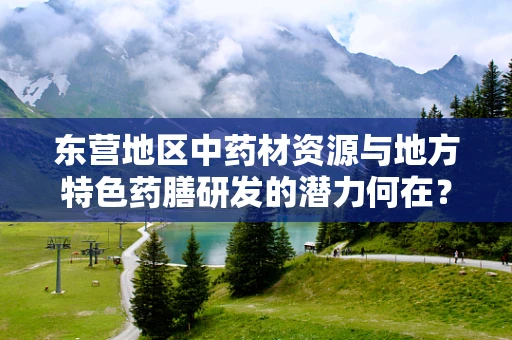 东营地区中药材资源与地方特色药膳研发的潜力何在？