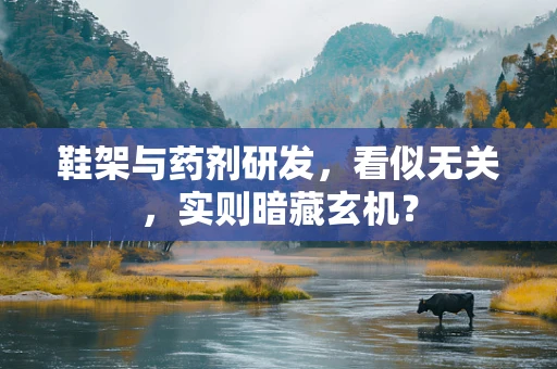 鞋架与药剂研发，看似无关，实则暗藏玄机？