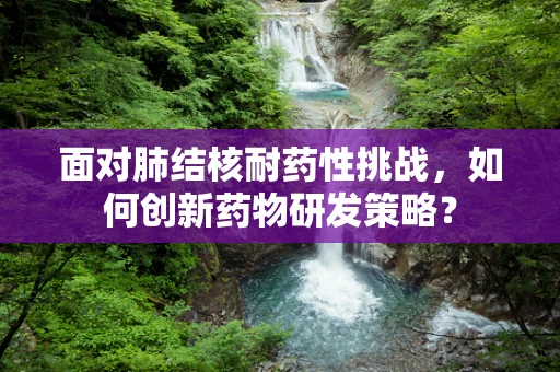 面对肺结核耐药性挑战，如何创新药物研发策略？