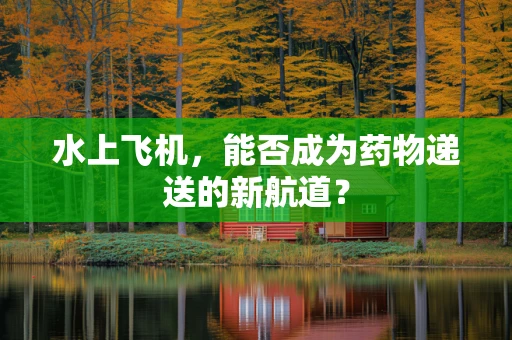 水上飞机，能否成为药物递送的新航道？
