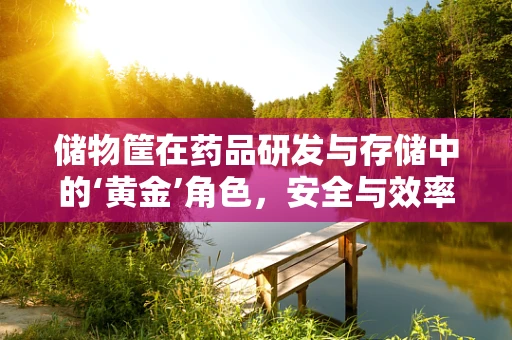 储物筐在药品研发与存储中的‘黄金’角色，安全与效率的平衡挑战？