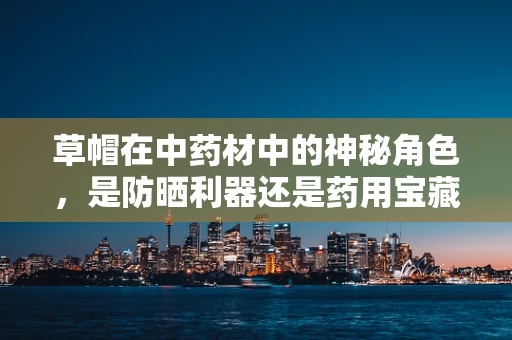 草帽在中药材中的神秘角色，是防晒利器还是药用宝藏？