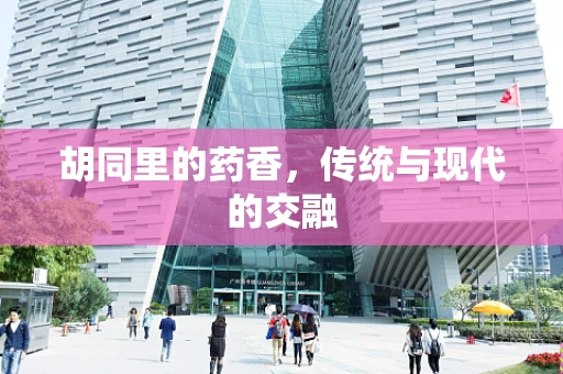 胡同里的药香，传统与现代的交融