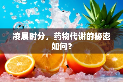 凌晨时分，药物代谢的秘密如何？