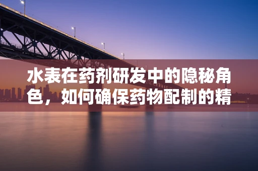 水表在药剂研发中的隐秘角色，如何确保药物配制的精准计量？