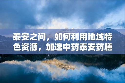 泰安之问，如何利用地域特色资源，加速中药泰安药膳的现代化药剂研发？