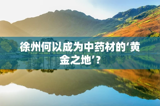 徐州何以成为中药材的‘黄金之地’？
