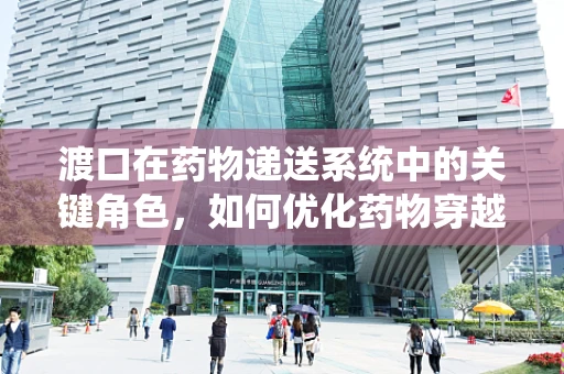 渡口在药物递送系统中的关键角色，如何优化药物穿越生物屏障的航行？