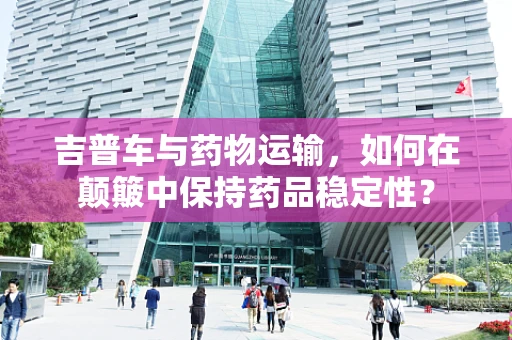 吉普车与药物运输，如何在颠簸中保持药品稳定性？