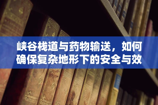 峡谷栈道与药物输送，如何确保复杂地形下的安全与效率？