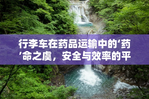 行李车在药品运输中的‘药’命之虞，安全与效率的平衡挑战？