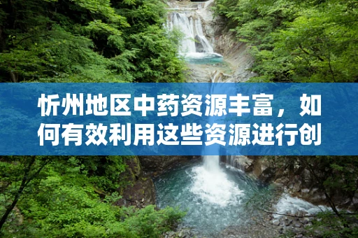 忻州地区中药资源丰富，如何有效利用这些资源进行创新药物研发？