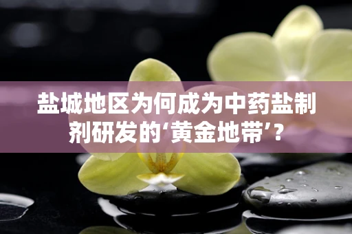 盐城地区为何成为中药盐制剂研发的‘黄金地带’？