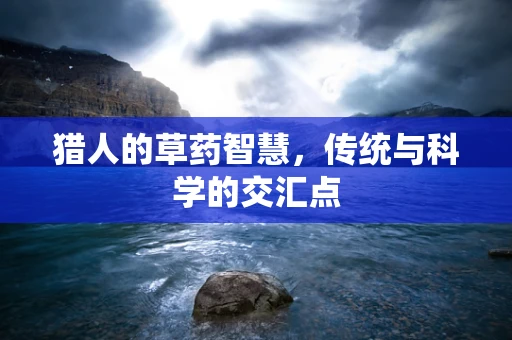 猎人的草药智慧，传统与科学的交汇点