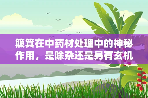 簸箕在中药材处理中的神秘作用，是除杂还是另有玄机？