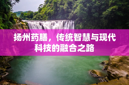 扬州药膳，传统智慧与现代科技的融合之路
