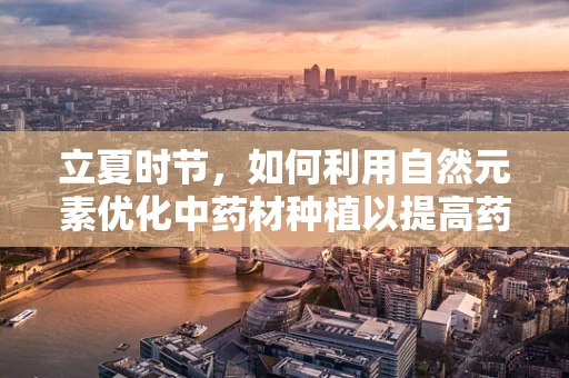 立夏时节，如何利用自然元素优化中药材种植以提高药效？