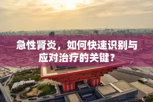 急性肾炎，如何快速识别与应对治疗的关键？