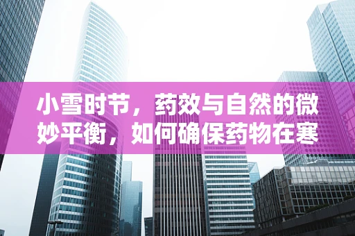 小雪时节，药效与自然的微妙平衡，如何确保药物在寒冷天气下的稳定性？