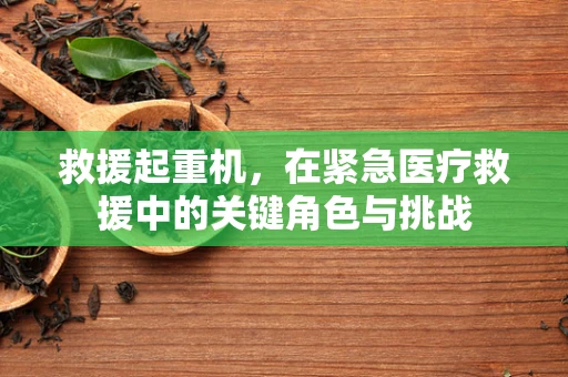 救援起重机，在紧急医疗救援中的关键角色与挑战