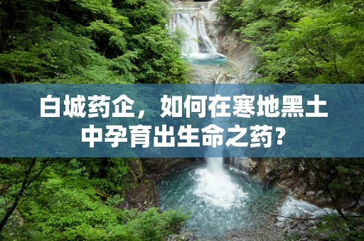 白城药企，如何在寒地黑土中孕育出生命之药？